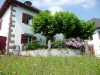 Jach�re fleurie devant la maison